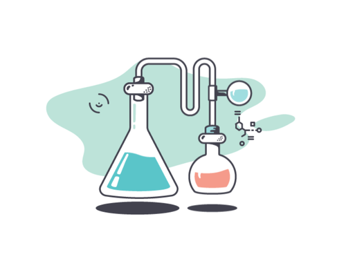 primary days science
