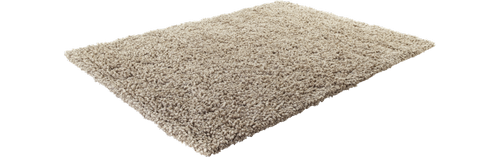 primary-home-rug