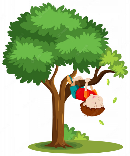 primary-what-can-you-do-climb-a-tree