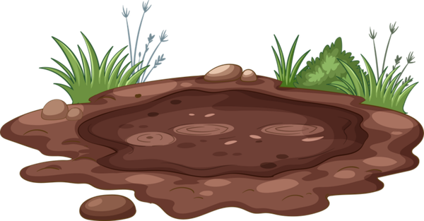 bog