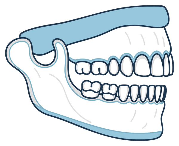 jaws