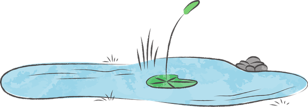 pond