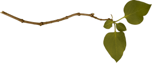 stick-man-twig