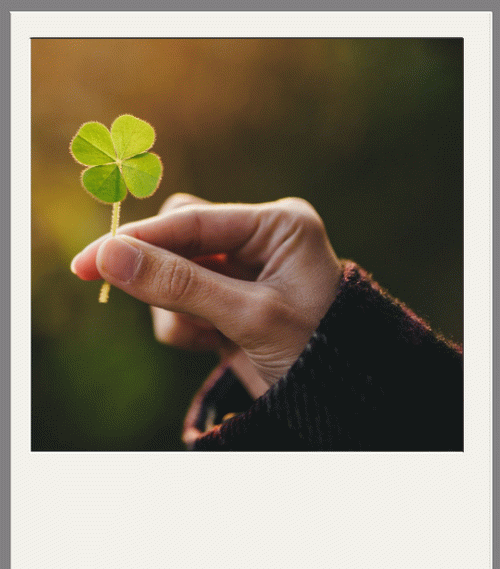 Pictures: Traditions and Symbols of Saint Patrick's Day 